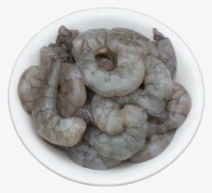 Laughing Bird Shrimp Litoanaeus Vannamei - Shrimp #354128