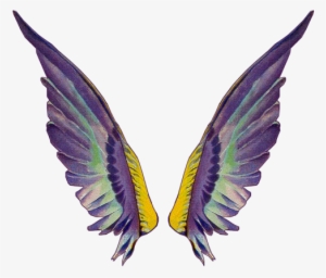 Tinkerbell Wings Png Gallery For > Fairy Wings Png - Wings #354366