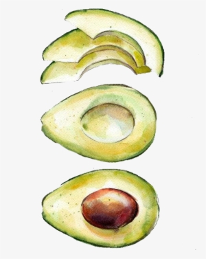 Watercolor Painting Printmaking Avocado - Watercolor Avocado #354821
