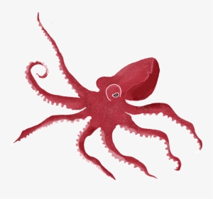 Hermie Octopus #354945