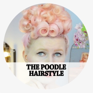 Poodle #355011