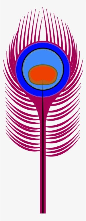 Peacock Feather Coloring Page - Peacock Feather Clip Art #355260