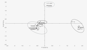Factorial Correspondence Analysis Between Orthopteran - Diagram #355984