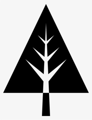 Pine Tree - - Tree Vector Icon #356516