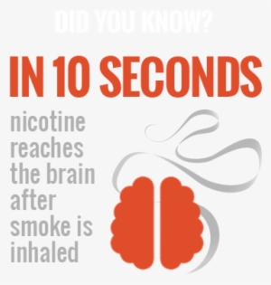Facts On Tobacco #356835
