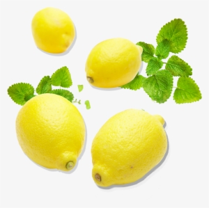 Png Transparent Lemon Citron Citric Acid Transprent - Key Lime #356932