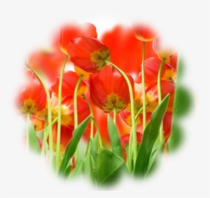 8 Trim Images - 1080p Durga Maa #357023