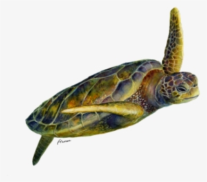 Click And Drag To Re-position The Image, If Desired - Sea Turtle 2 #357216