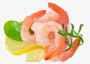 Shrimp Transparent Images - Shrimp #357242
