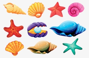 She Sells Seashells - Colorful Sea Shells Png #358108
