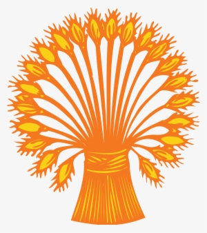 Open - Raceface Cinch Chain Ring #359071