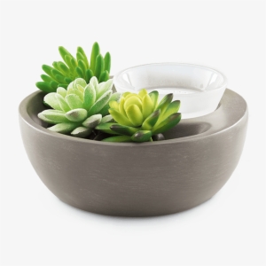 Little Garden Scentsy Warmer - Scentsy Little Garden #359353