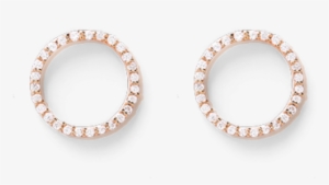 Earrings #359401