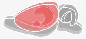 This Free Icons Png Design Of Rat Brain 1 #359782