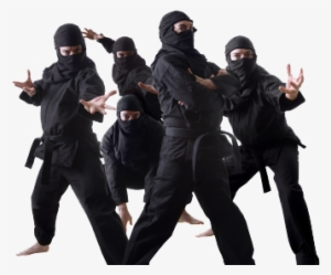 Are You A Ninjaneer Wait Hold Up Let Me Define What - Group Of Ninjas #3500519