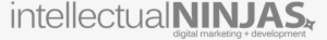 Intellectual Ninjas #3500962