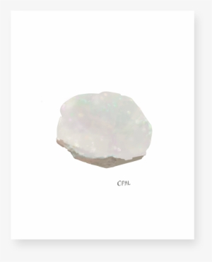 Opal #3501265