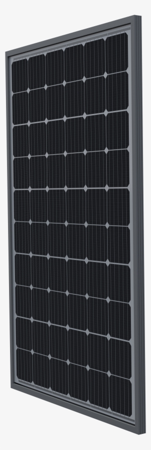 Solar Juice Is An Australian Company That Is A Wholesale #3501474