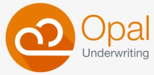 Angus Turner Opal Analyst - Circle #3501873