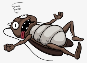 Dead Cockroach Cartoon #3501930