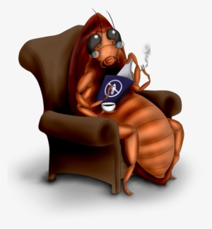 Cucaracha - Zoom Video Communications #3502196