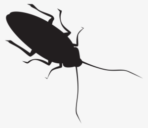 Pin By Heather Lindsey On Cricut Roaches - Cockroach Silhouette #3502321