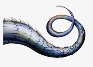 Dragontail Sgsword Cyo - Real Dragon Tail Png #3502516