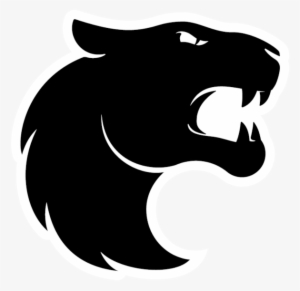 Team Information - Furia Cs Go Team #3502724