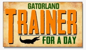 An Experience You Will Not Forget - Poster #3503117