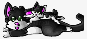 By Jersey-cat - Typical Cats #3504232