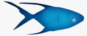 Pez - Gif De Peces Png #3504478