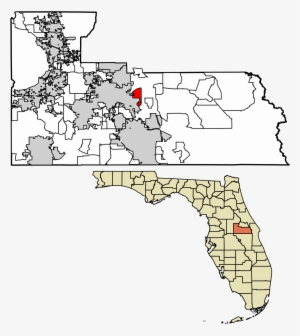 Tangerine County Florida - Free Transparent PNG Download - PNGkey