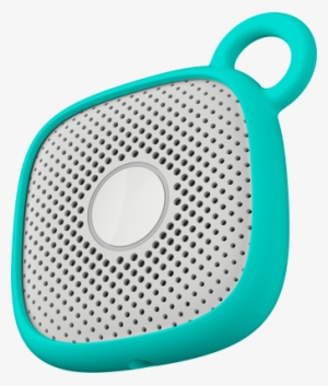 Loop-f9143d3c31 - 9065243926 - Conservatory Of Flowers #3505183