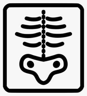 Png File Svg - Desenho De Raio X #3505781