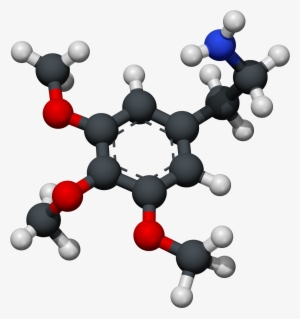 Mescaline 3d Xray Ballstick - Quimica Y La Ciencia #3505936