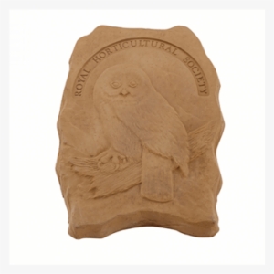 Rhs Endangered Wildlife Stepping Stone - Endangered Species #3506034