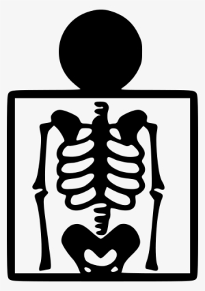 Small - X Ray Vector Icon #3506237