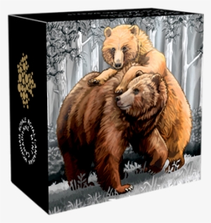 145355 Box-570 - Grizzly Bear #3506403