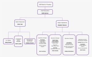 Organisation Structure - Stepping Stone #3506585