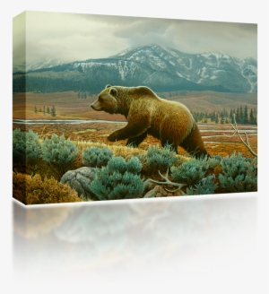 Grizzly Bear #3506828 Grizzly Bear #3506828