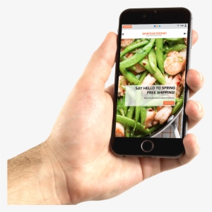 Dssuite Enterprise Mobile - Png Hand Holding Iphone Free #3506969