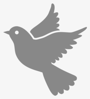 Social Change - Dove Transparent Icon #3507079