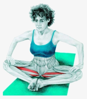 5 Myswimpro Stretch Butterfly Stretch - Butterfly Stretch Muscles Worked #3508072