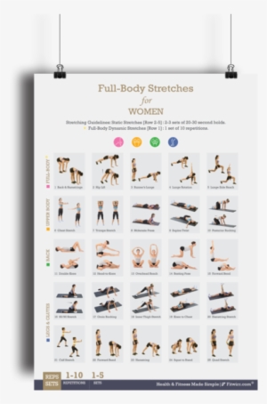 Full-body Stretching Exercise Poster For Women 19"x27" - Full Body Stretches For Women #3508151