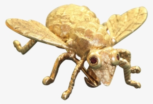 Estate 14 K Large Bug Pin With Ruby Eyes #3508174