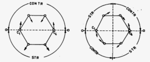 Semicircular Stretching Mode Of Benzene Ring - Science #3508231