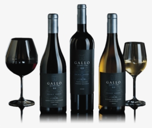 We Envision The Future - Gallo Wine #3508512