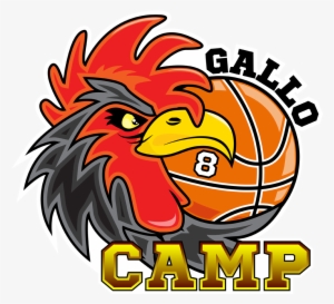 57 Commenti - Gallinari #3508538