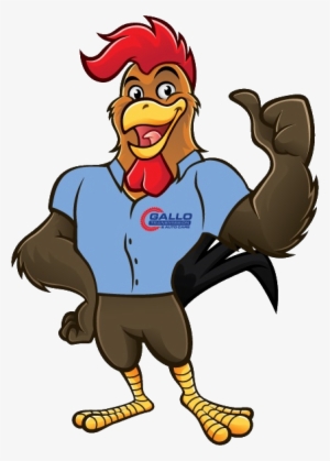 Bonne Année 2017 En Chinois #3508556