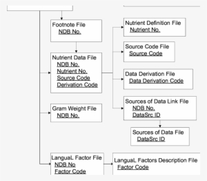 Relationships Among Files In The Usda National Nutrient - Usda National Nutrient Database #3510193